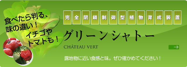 レタス以外にイチゴやトマトも！植物工場の水耕による無農薬栽培を見学される方はこちら