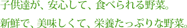 子供達が、安心して、食べられる野菜。新鮮で、美味しくて、栄養たっぷりな野菜。