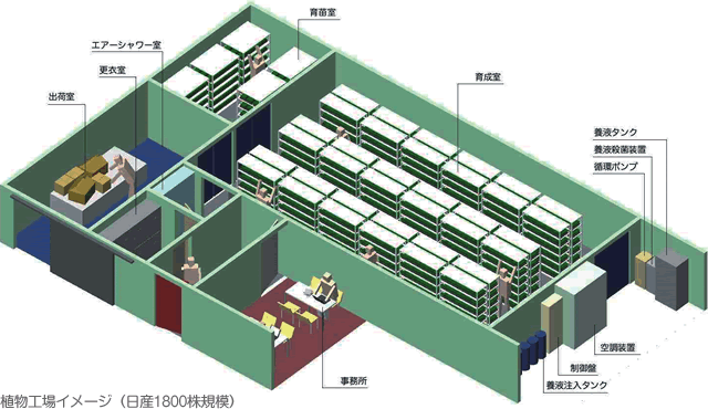 植物工場イメージ01