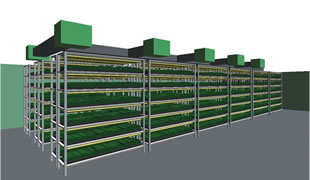 植物工場イメージ02