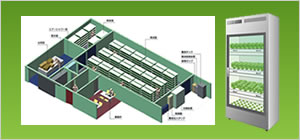植物工場（野菜工場）グリーンシャトー